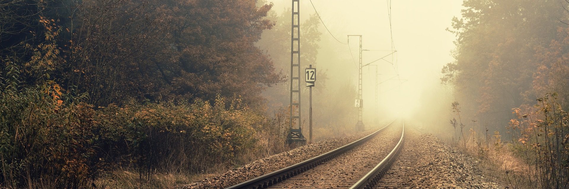 Entre la niebla es un relato escrito por Miguel Rodríguez Echeandía sobre los viajes en tren y lo que se piensa en ellos.