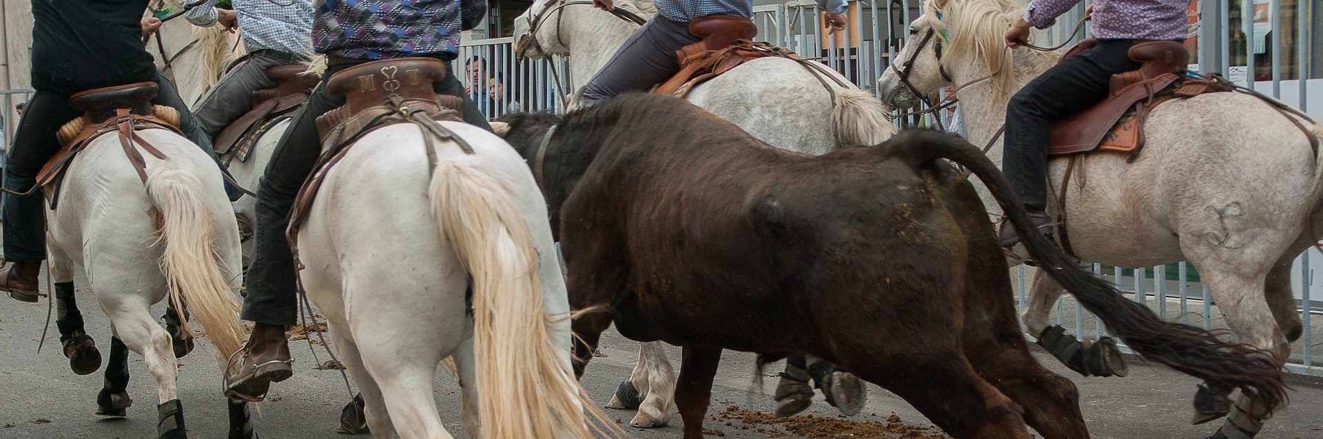 Tradición es un relato escrito por Miguel Rodríguez Echeandía que trata sobre el origen de las tradiciones populares.