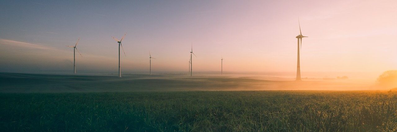 Un mercenario es un relato escrito por Miguel Rodríguez Echeandía sobre cómo algunas profesiones no parecen lo que son.
