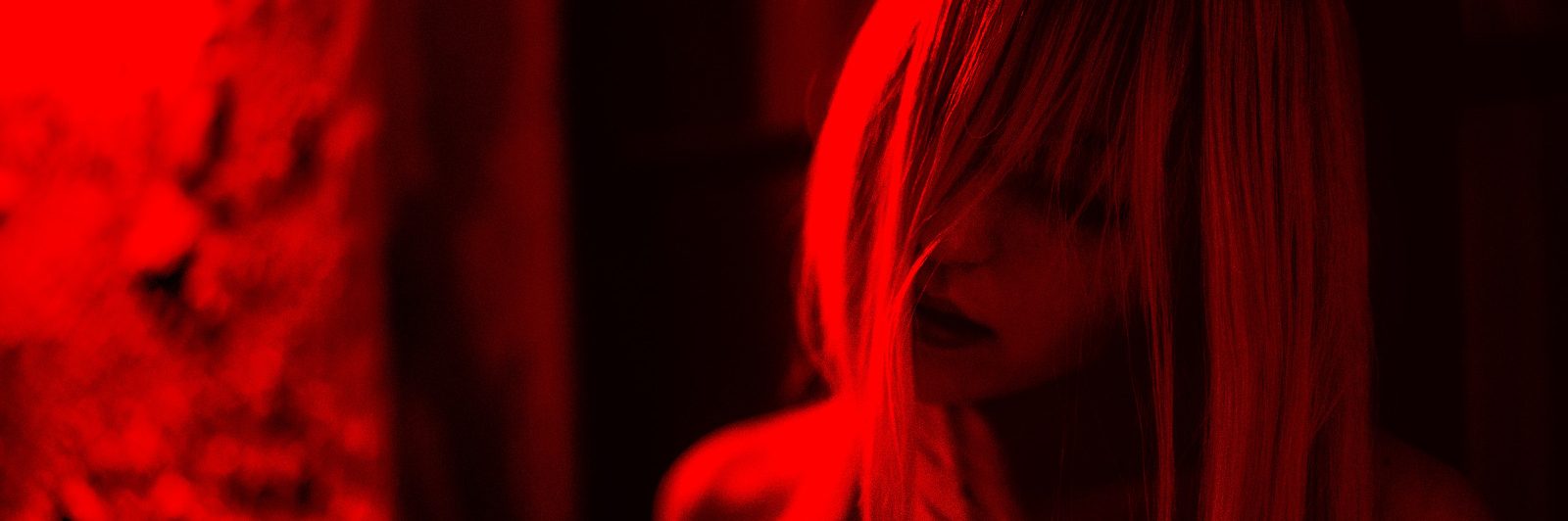 El súcubo es un relato escrito por Miguel Rodríguez Echeandía que continua la historia del exorcista en búsca del espíritu de su abuela.